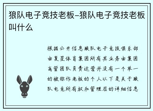 狼队电子竞技老板-狼队电子竞技老板叫什么