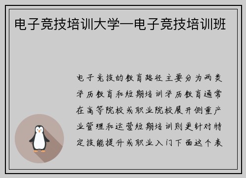 电子竞技培训大学—电子竞技培训班